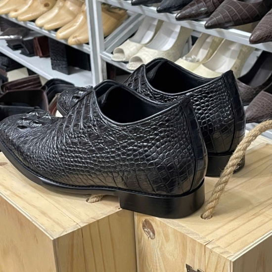 Giày Tây gù tăng cao 5cm